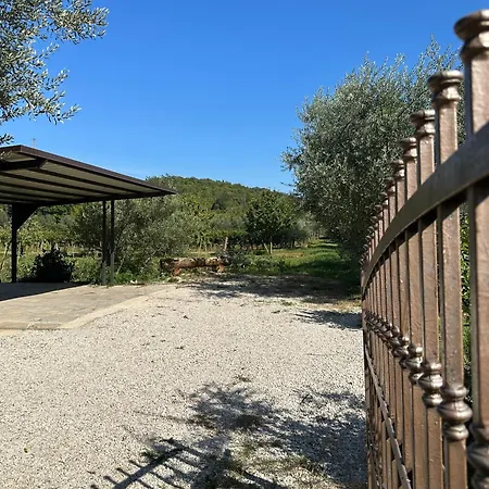 Bokalu With Private Pool * Porec